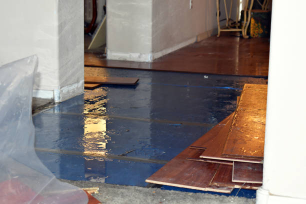 Professional Water Damage Restoration technician working in Platte City, MO